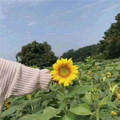 新版龙界启示录官方版下载
